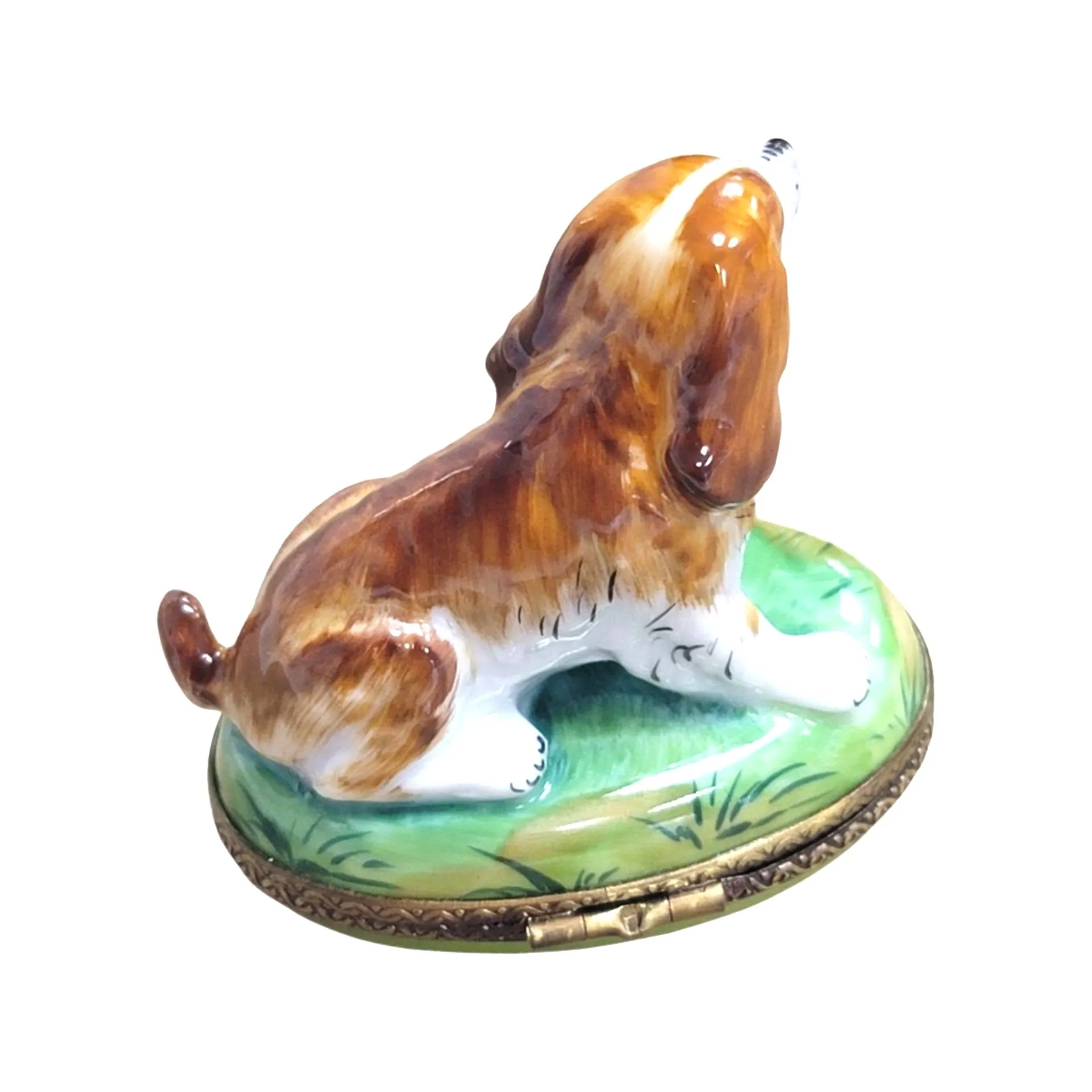 Brown Dog