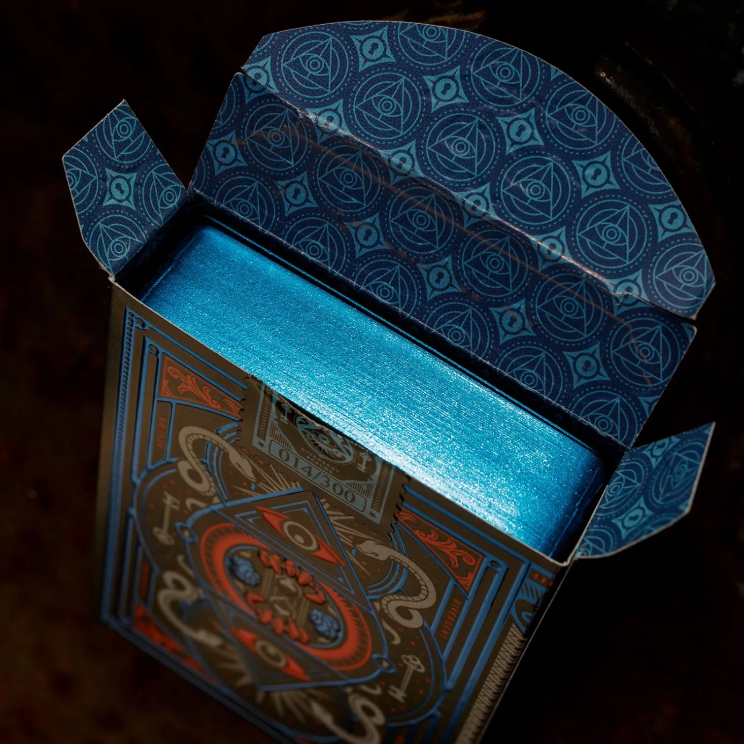 Divergent Realms Playing Cards - Gottlieb