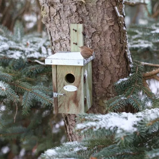 Fallen Fruits Wren Nest Box