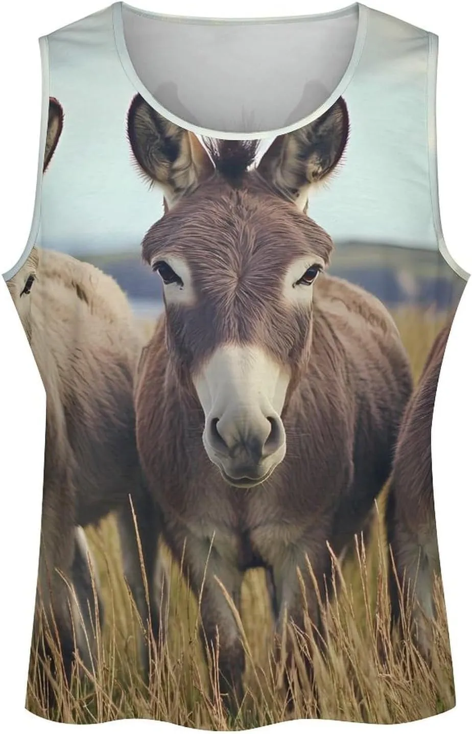 Three Donkeys F Men's Activewear Tank Tops Gym Sleeveless Muscle T Shirts Workout Tees Vest