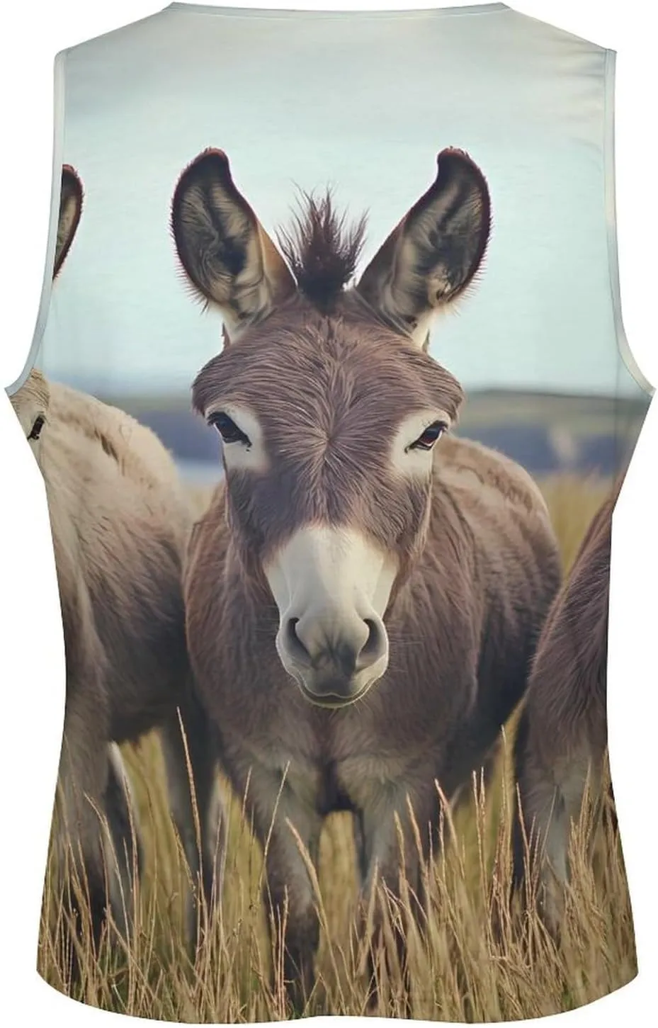 Three Donkeys F Men's Activewear Tank Tops Gym Sleeveless Muscle T Shirts Workout Tees Vest