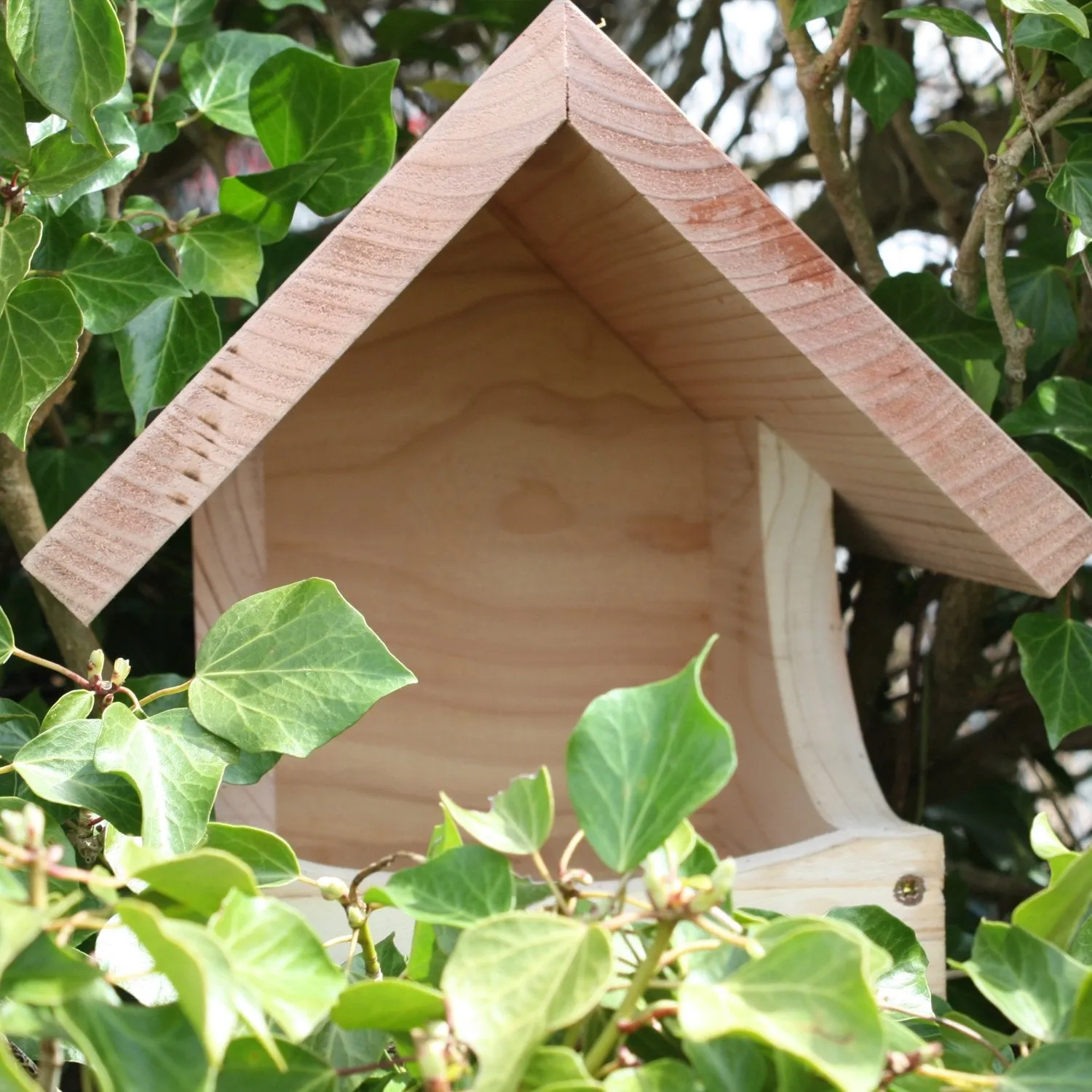Wildlife World Blackbird Nest Box